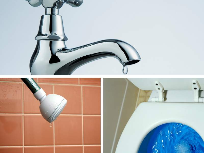 Do You Need a Plumbing Repair Service? 