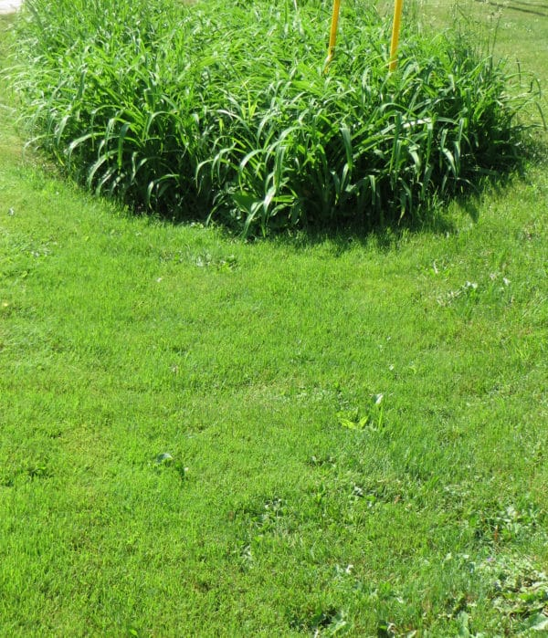 Using French Drains To Prevent Inundating