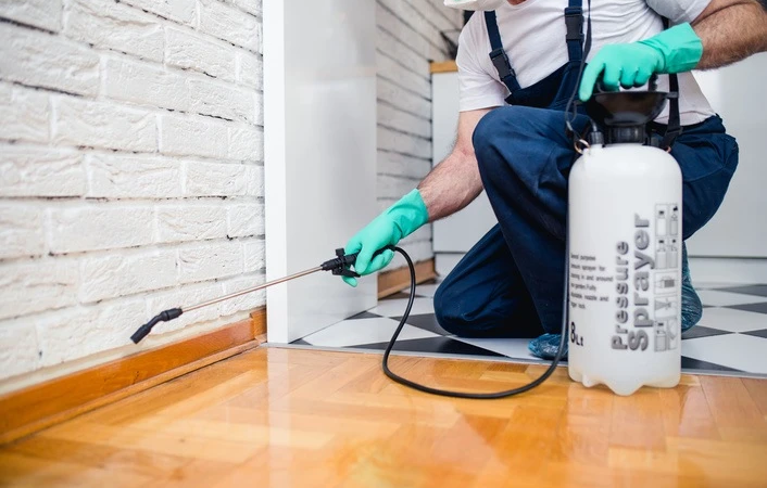 Finding The Right Lakeside CA Pest Control Company