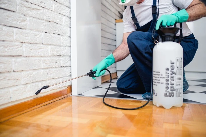 Finding The Right Lakeside CA Pest Control Company