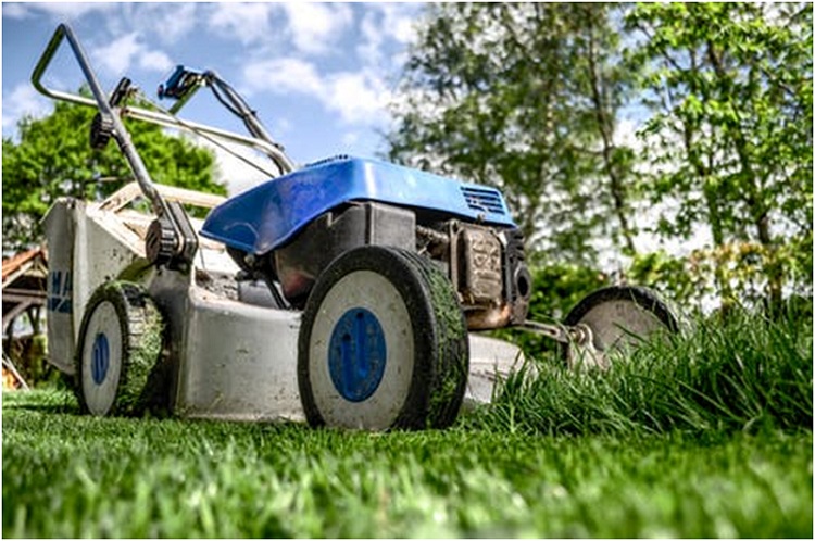 How frequently should you do lawn mowing?