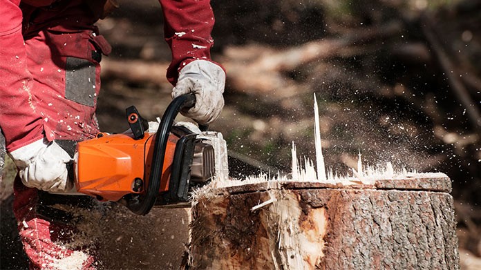 Does your home require stump removal services?