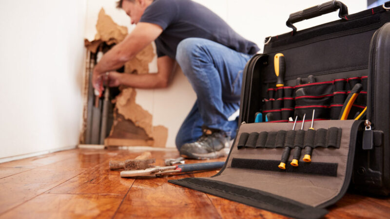 What to Look For Before Hiring a Water Damage Restoration Professional