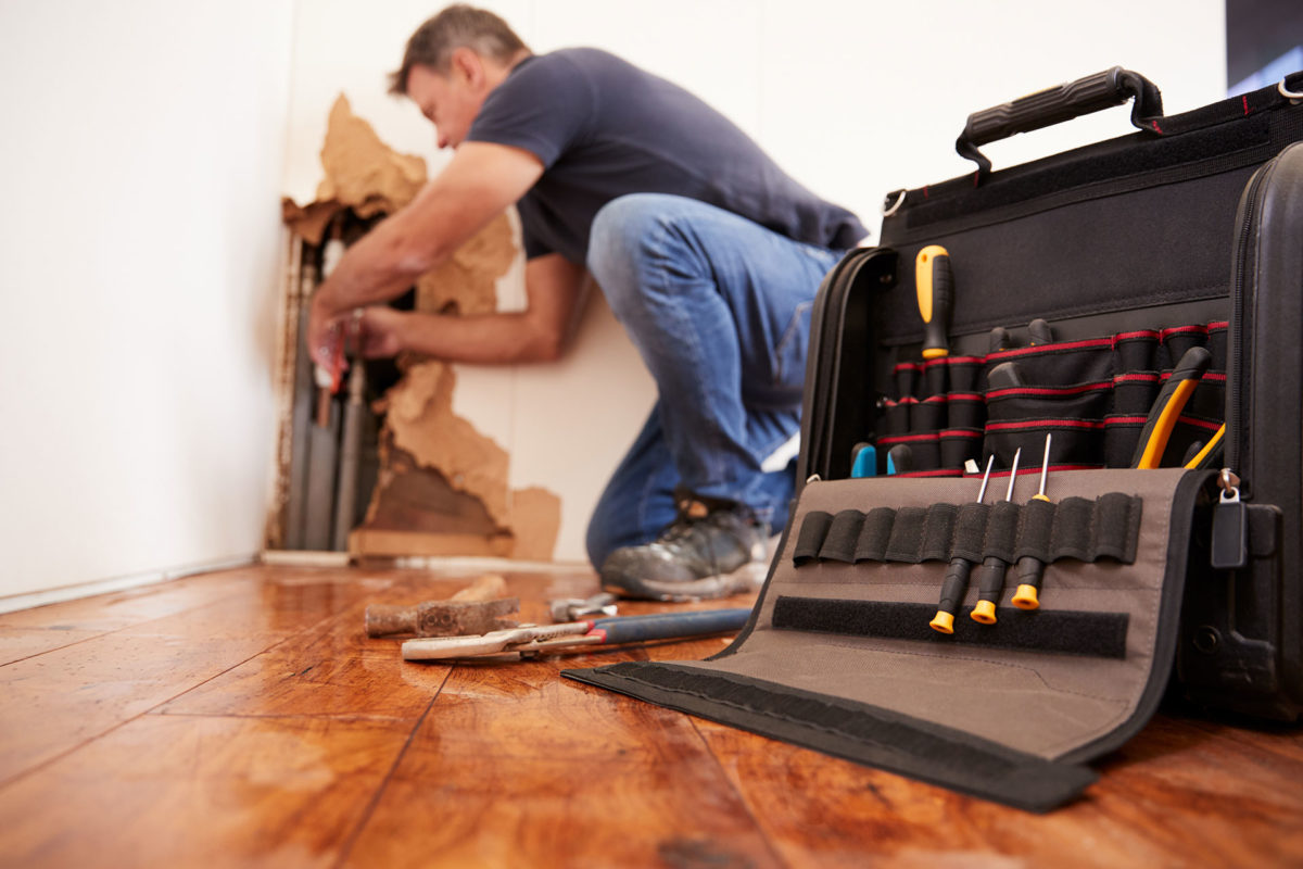What to Look For Before Hiring a Water Damage Restoration Professional