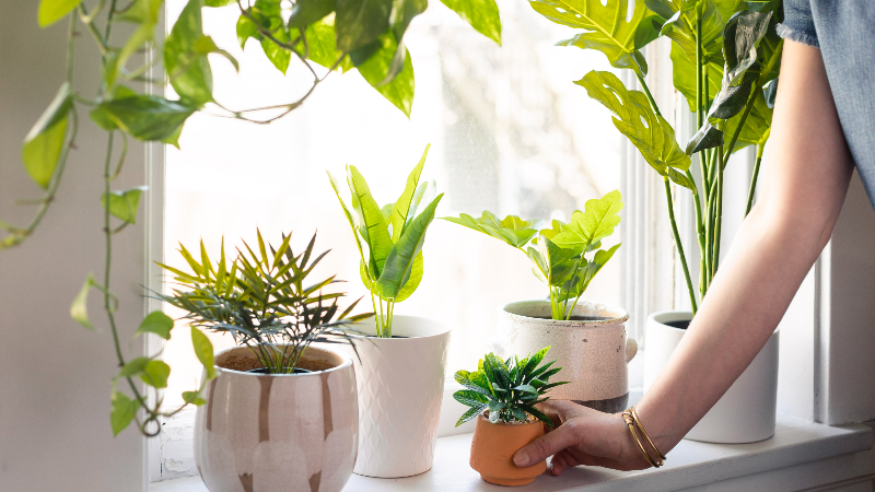 Things to know about the artificial plants