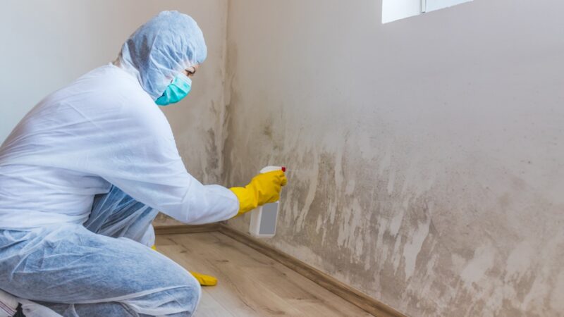 mold Remediation Equipment