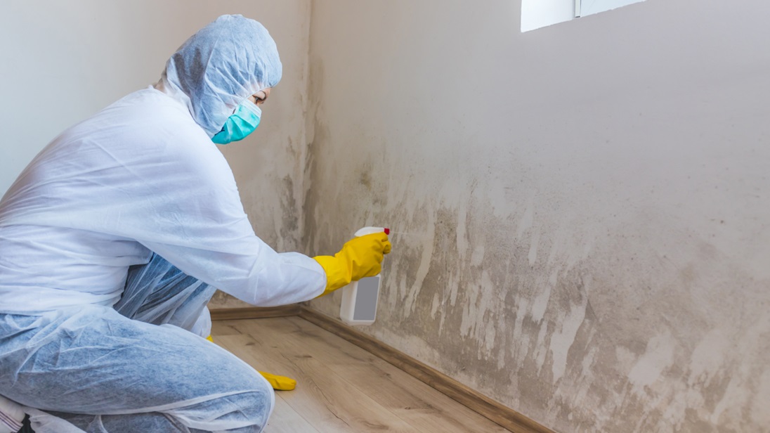The Different Types of Mold Remediation Equipment