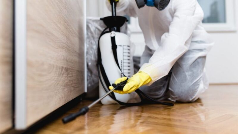 The Importance of Pest Control Services For Homes