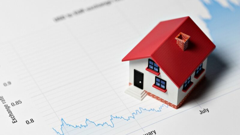 South Tampa Real Estate: Buyer’s Guide!