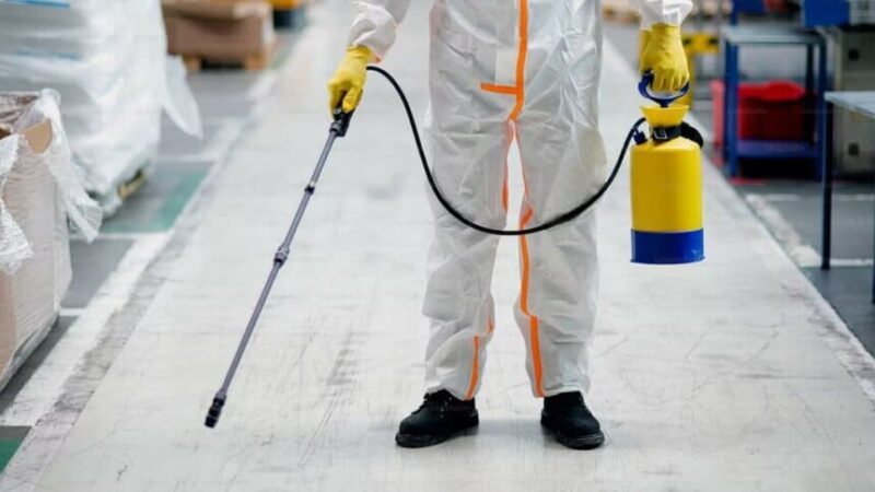 Signs That Your Business Needs Commercial Termite Services