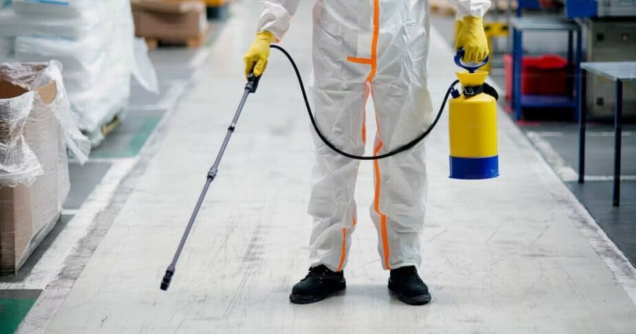 Signs That Your Business Needs Commercial Termite Services