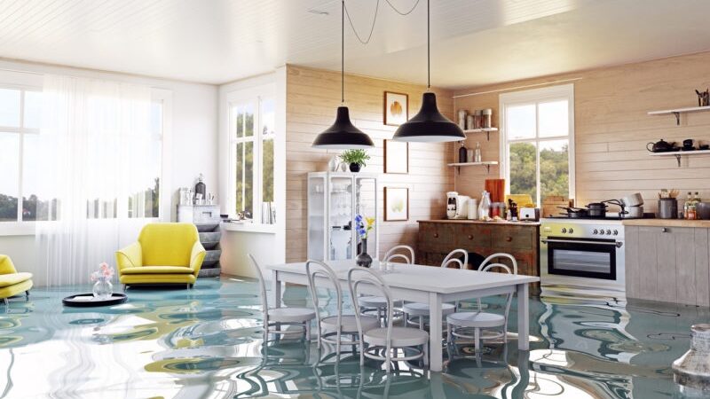 Shield Your Space: Practical Steps For Water Damage Mitigation And Recovery