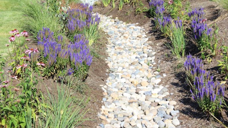 Drainage Contractors