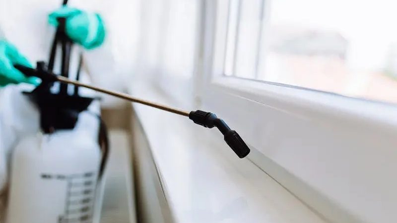 How Long Does Pest Control Spray Really Last? What Homeowners Should Know