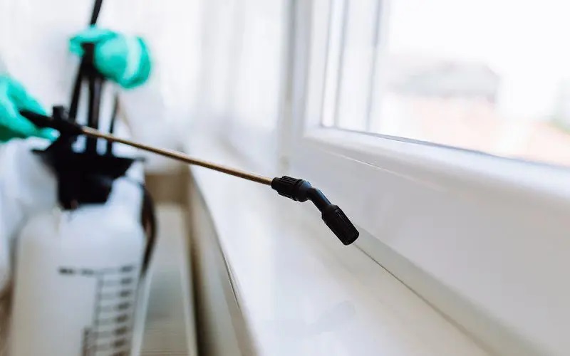How Long Does Pest Control Spray Really Last? What Homeowners Should Know