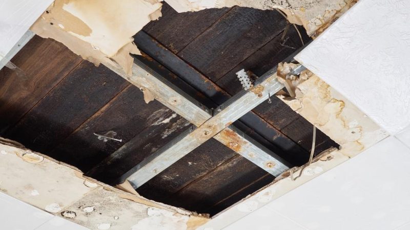 Using Water Damage Restoration Services in Houston