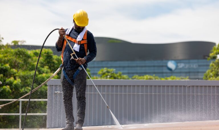 Tree Pruning Explained: When, Why, and How It Should Be Done